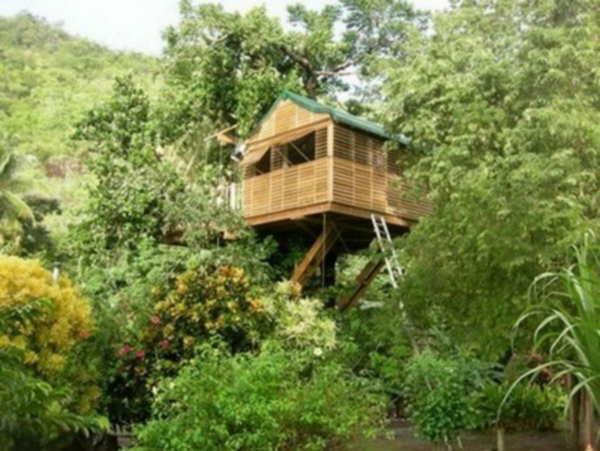 Domaine De Robinson Hotel Les Anses-d'Arlets Exterior photo